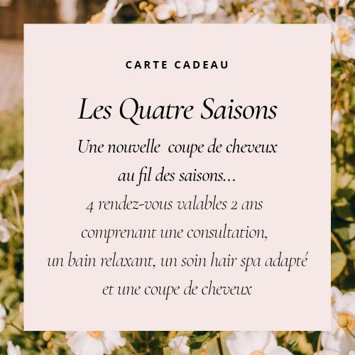 carte cadeau salonmouch 4 saisons
